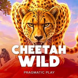 Cheetah Wild